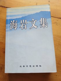 海岩文集