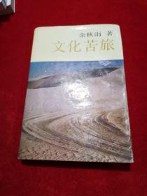 文化苦旅 精装