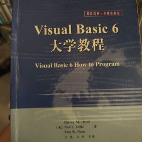 Visual Basic 6大学教程