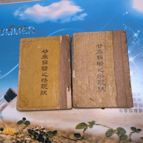 廿年目睹之怪现状（上下）品一般非诚勿扰（麻烦书友们在购买本店商品之前，先认真看完本店品相描述，再决定是否购买本店商品谢谢理解。）