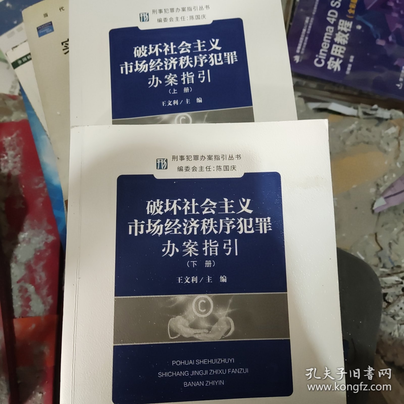 破坏社会主义市场经济秩序犯罪办案指引（上、下两册）