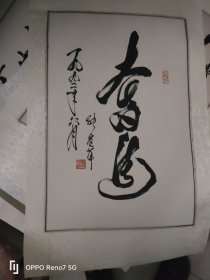 张爱萍 将军书法作品