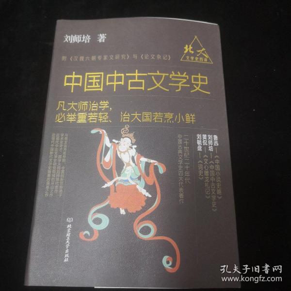 北大文学史四讲——中国中古文学史