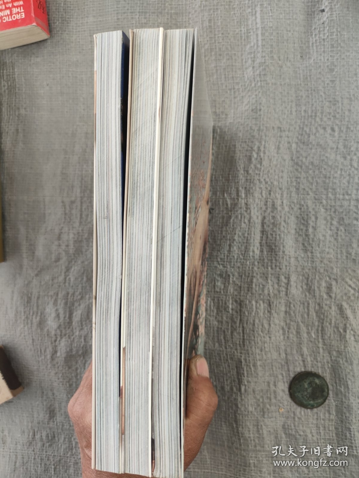 百位人体模特摄影造型艺术：花季+花语+花信