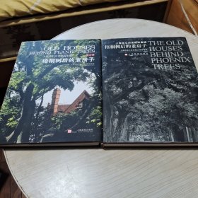 梧桐树后的老房子(1、2册合售)：上海徐汇历史建筑集锦
