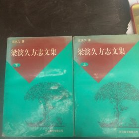 梁斌久方志文集 上下