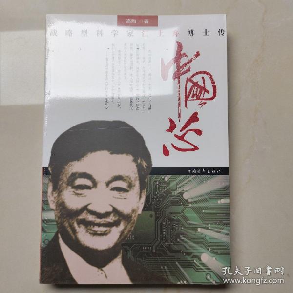 中国芯：战略型科学家江上舟博士传