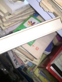 2014中国美术大事记 索引简明本