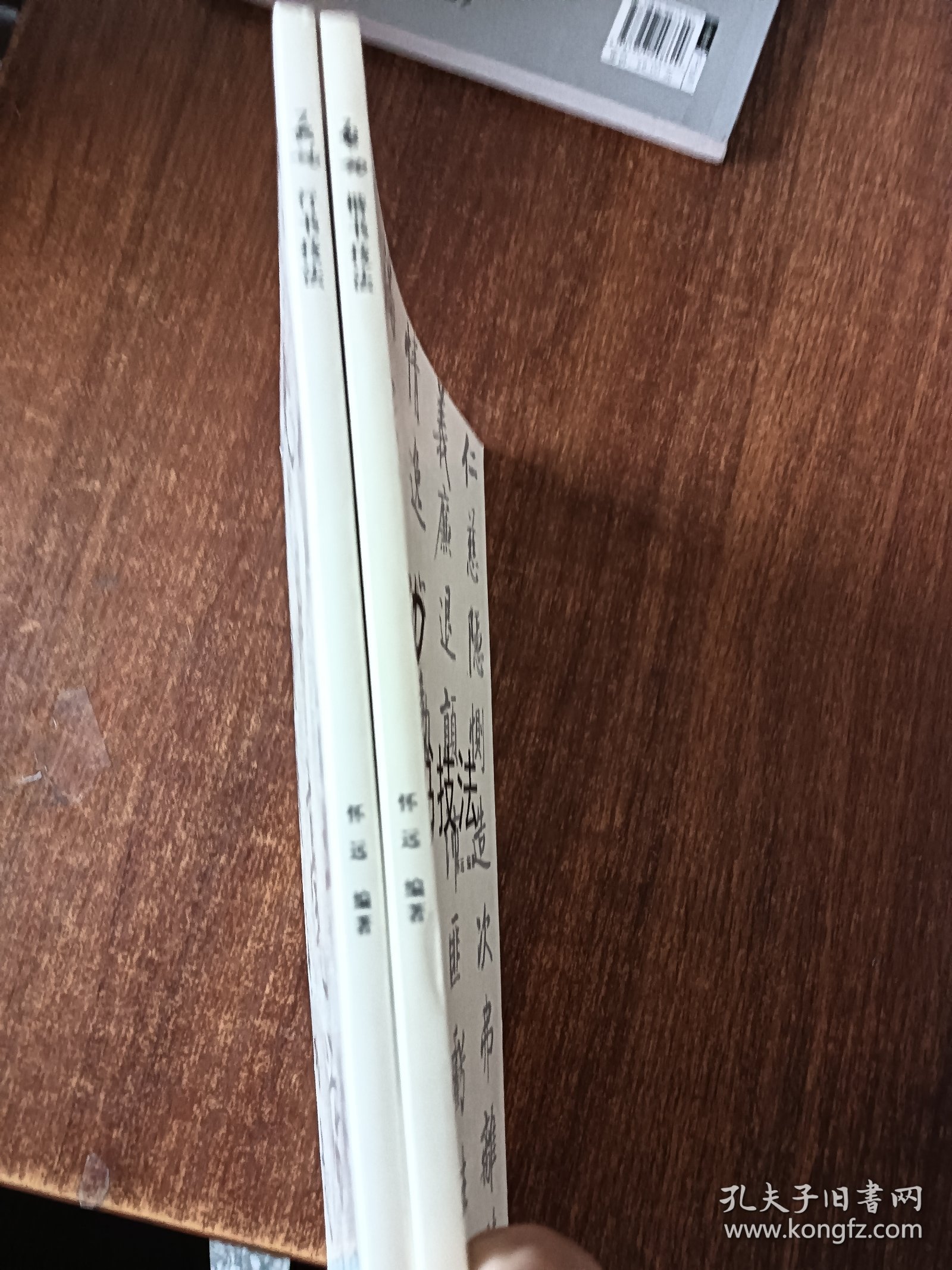 启功行书技法+启功楷书技法（两册合售）