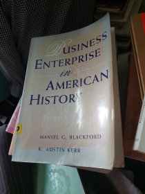 THIRD EDITION BUSINESS ENTERPRISE IN  AMERICAN HISTORY
