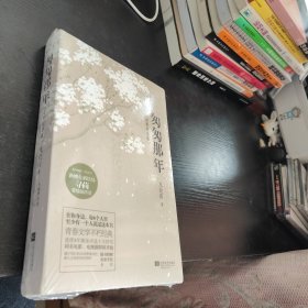 匆匆那年：完美纪念版