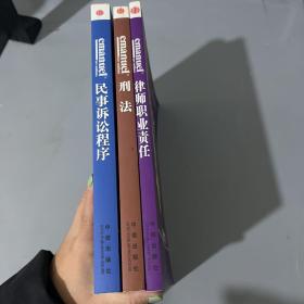 （伊曼纽尔法律精要影印系列）刑法+民事诉讼程序+律师职业责任（3本合售】