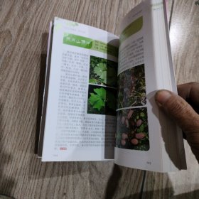 认识中国植物 华中分册