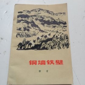 《铜墙铁壁》（柳青著1951年一版，1976年2版，19803版一印）