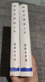 制度经济学（上下册）