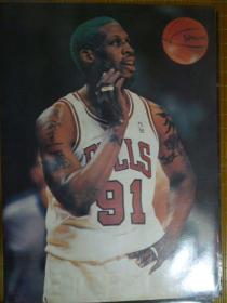 篮球明星 球星 NBA 罗德曼 海报