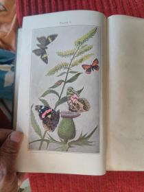 A Manual For The Study Of Insects (1895)【金陵大学馆藏。藏书票一枚】