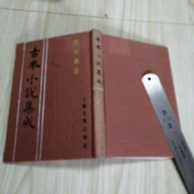 古本小说集成：警富新书  馆藏书未借阅自然旧实物拍图供参考