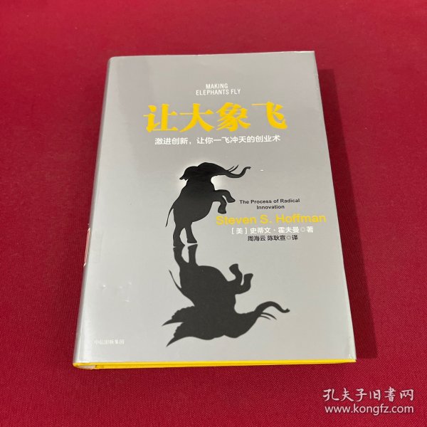 让大象飞:激进创新，让你一飞冲天的创业术