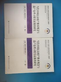 当代中国民众财产继承观念与遗产处理习惯实证调查研究（套装上下册）/家事法研究学术文库