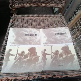 燃烧的岛群(上下)：宋宜昌二战军史小说系列