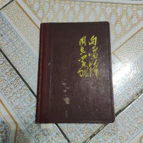 向雷锋同志学习