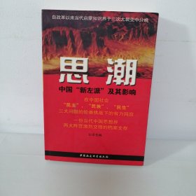 思潮：中国”新左派“及其影响