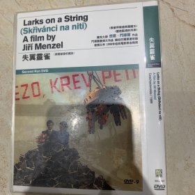 失翼灵雀DVD