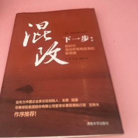 混改下一步：新时代混合所有制改革的新思路