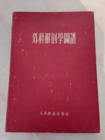 外科解剖学图谱