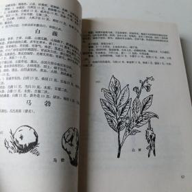 实用中草药大全