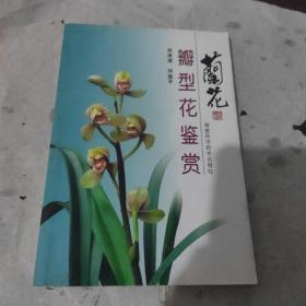 兰花瓣型花鉴赏