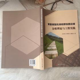 束筋微型抗滑桩群加固边坡分析理论与工程实践