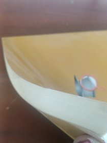 天才孩子的教育：激活孩子财智的46堂课
