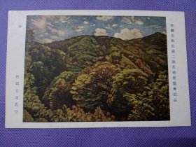 00809 日本 绘画版 风景 春 帝国美术院 第二回美术展览会出品 民国 时期 老 明信片