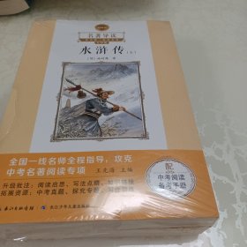 名著导读9年级上下水浒传