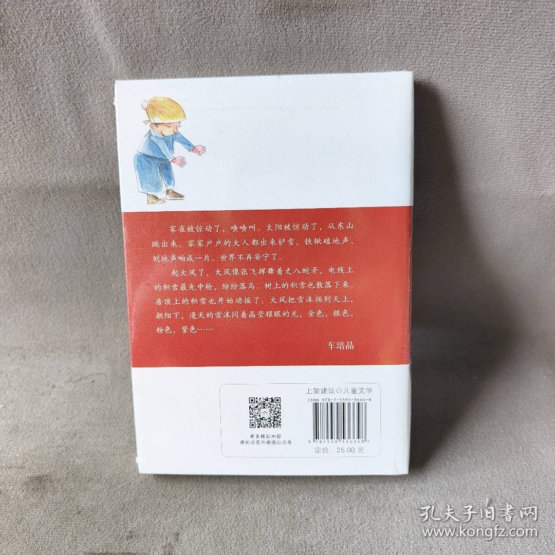 【未翻阅】童年中国书系3b—冻红了鼻子