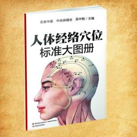 人体经络穴位标准大图册 方剂学、针灸推拿 作者 新华正版