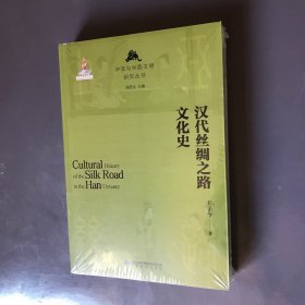 汉代丝绸之路文化史