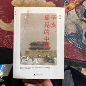 辛亥：摇晃的中国