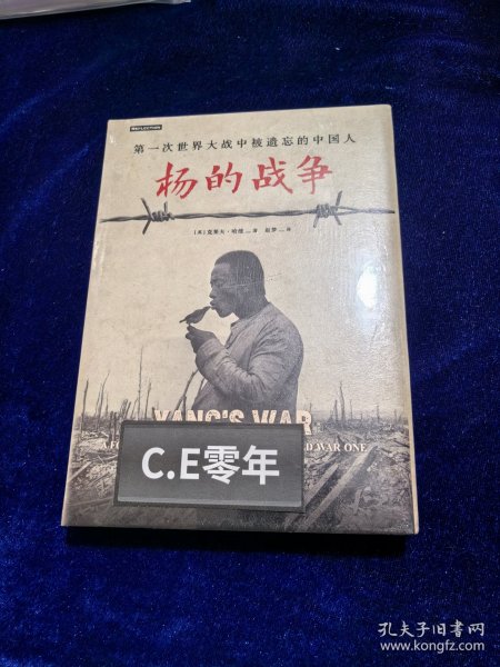 杨的战争：第一次世界大战中被遗忘的中国人-051