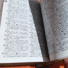 古代汉语词典(第2版)