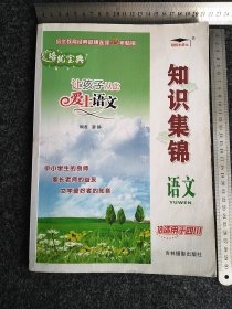 培优宝典 知识集锦(四川专版)语文