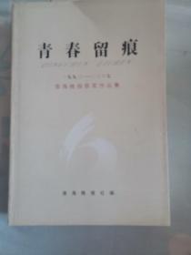 青春留痕，1993一2007淮海晚报获奖作品集