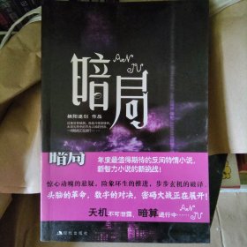 暗局（栖阳逐剑 作品）