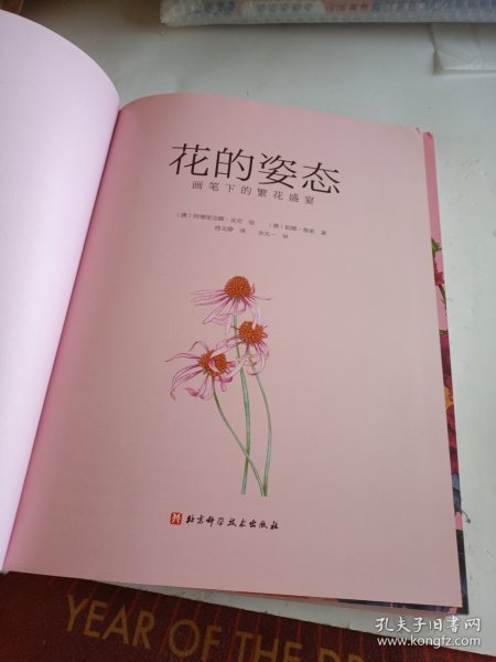 花的姿态：画笔下的繁花盛宴