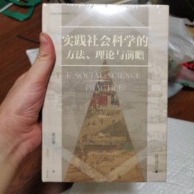 大学问·实践社会科学系列：实践社会科学的方法、理论与前瞻（一部写给有志从事社会科学研究的青年学者的书，探寻扎根于中国实际的社会科学研究）