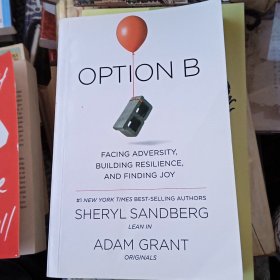 Option B: Facing Adversity, Building Resilience, and Finding Joy