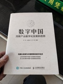 数字中国：洞察产业数字化发展新趋势 Ⅶ