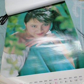 1993年明星挂历：花蕾（陈红、周迅、朱京红、虞梦十二张全）